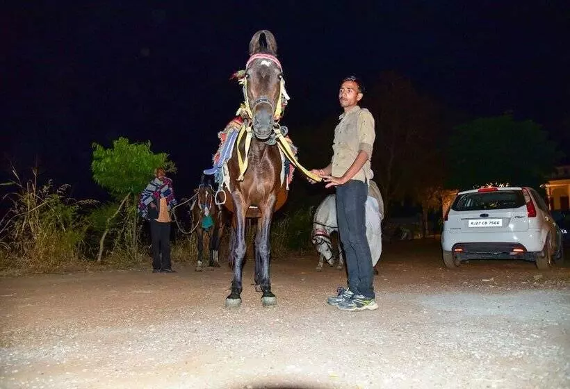 Padmavati Lake Resort