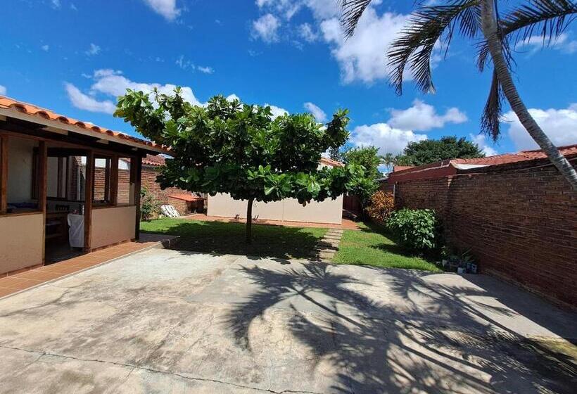 هاستل Sur Backpackers