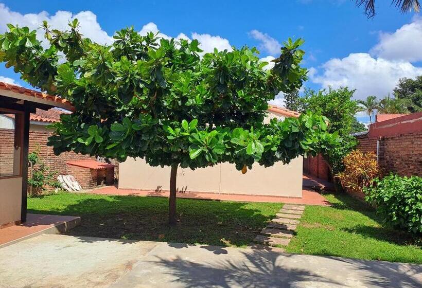 هاستل Sur Backpackers