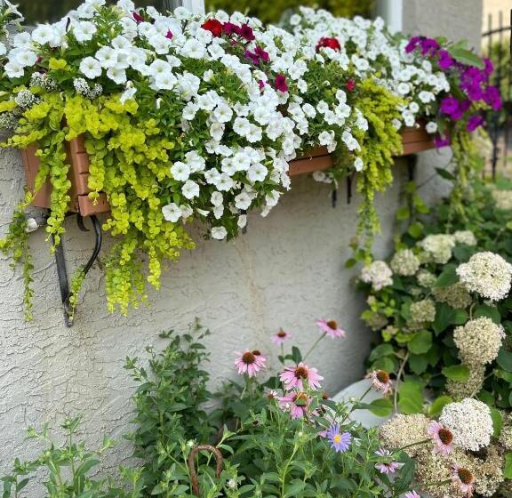 مبيت وإفطار A Vista Villa Couples Retreat