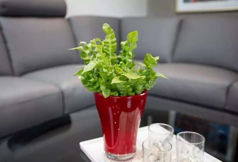 تختخواب و صبحانه Visithomes Tórshavn Rooms