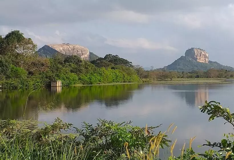 ベッドアンドブレックファースト Organic Farm Wish Prabha Lake View Homestay