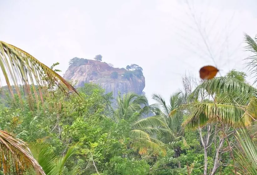 ベッドアンドブレックファースト Organic Farm Wish Prabha Lake View Homestay