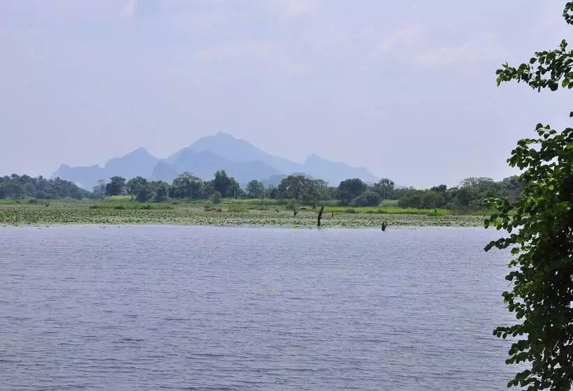 ベッドアンドブレックファースト Organic Farm Wish Prabha Lake View Homestay
