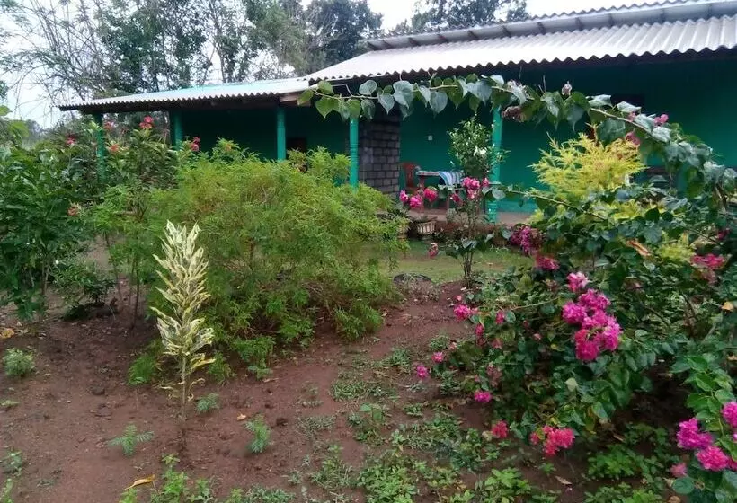 ベッドアンドブレックファースト Organic Farm Wish Prabha Lake View Homestay