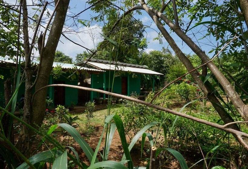 צימר Organic Farm Wish Prabha Lake View Homestay