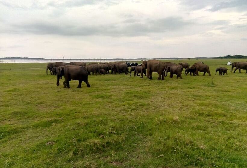 צימר Organic Farm Wish Prabha Lake View Homestay