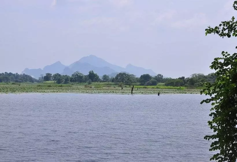 ベッドアンドブレックファースト Organic Farm Wish Prabha Lake View Homestay