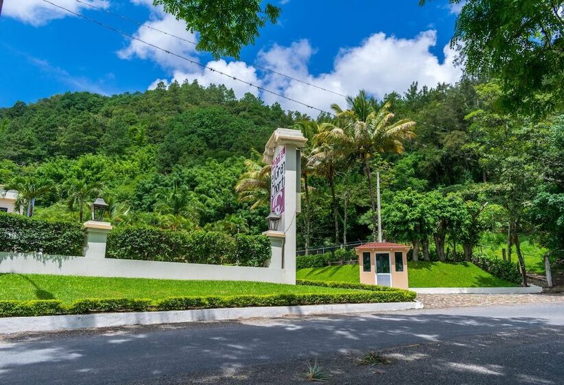 هتل El Gran Chorti