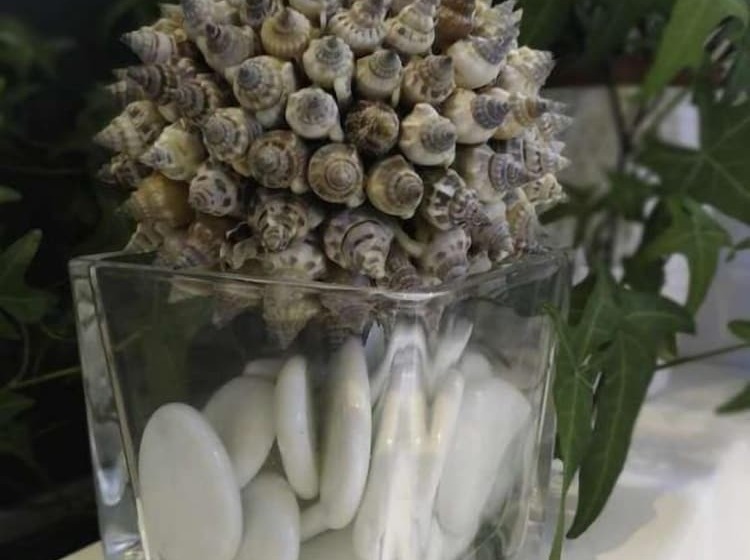 민박 Escapades Lointaines