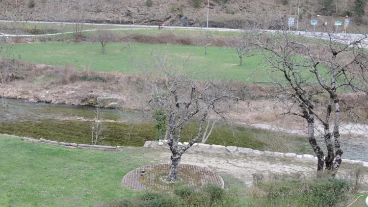فندق Hôtel Du Pont Neuf
