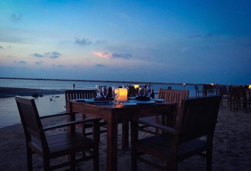 Blue Whale Resort & Kite Surfing