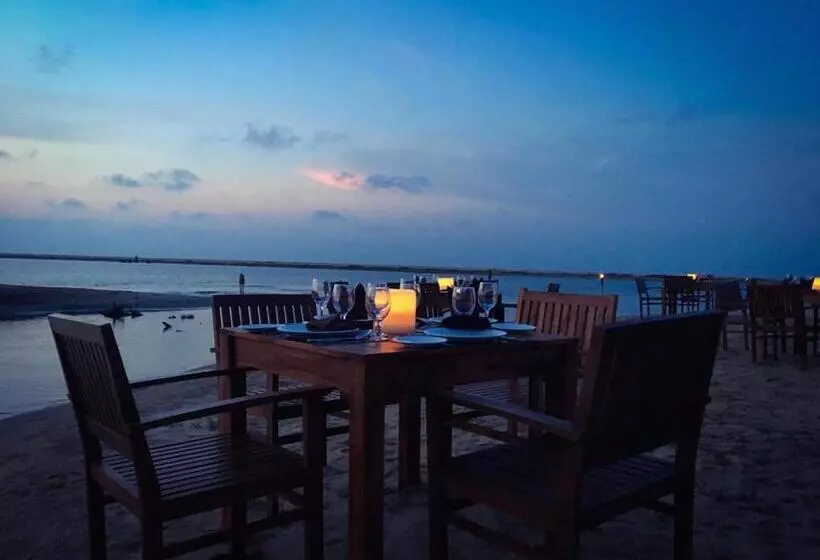 Blue Whale Resort & Kite Surfing