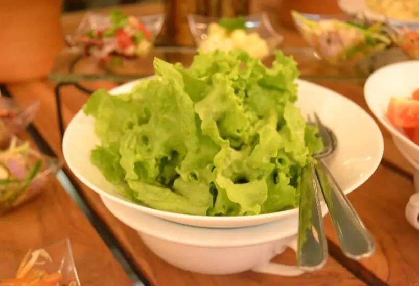 Blue Whale Resort & Kite Surfing