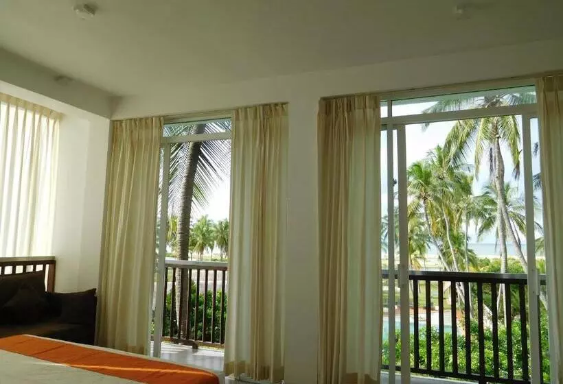 Blue Whale Resort & Kite Surfing