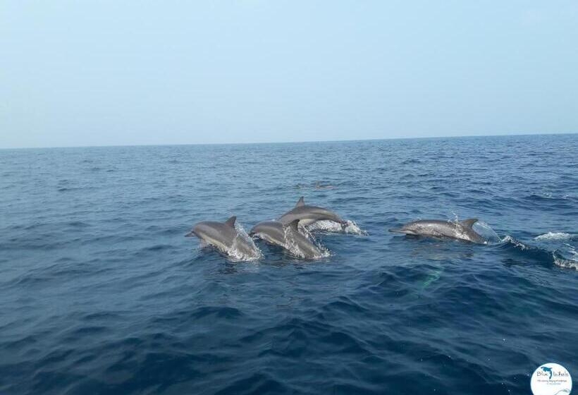 Blue Whale Resort & Kite Surfing