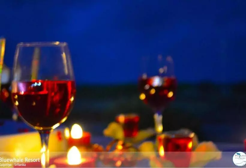 Blue Whale Resort & Kite Surfing