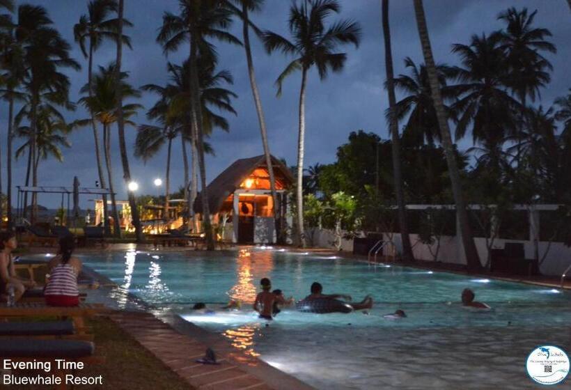 Blue Whale Resort & Kite Surfing