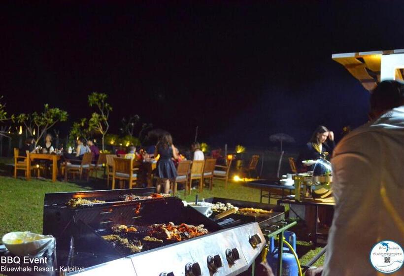 Blue Whale Resort & Kite Surfing