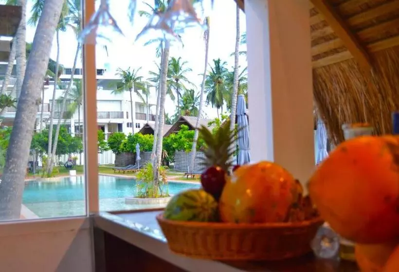 Blue Whale Resort & Kite Surfing