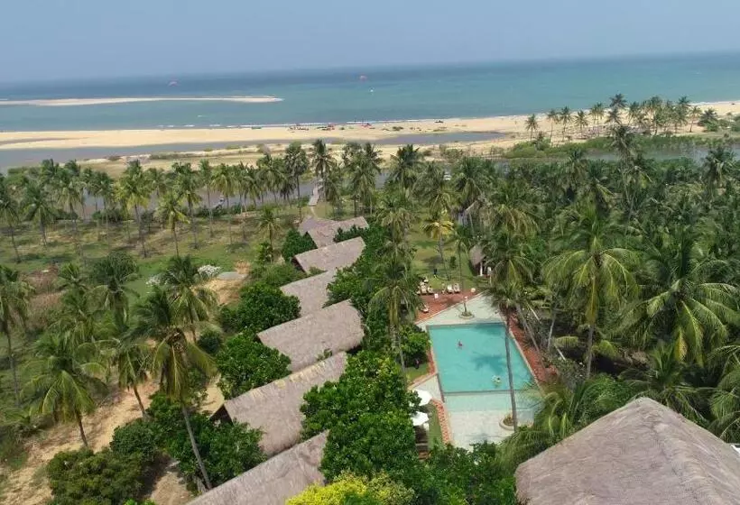 Blue Whale Resort & Kite Surfing