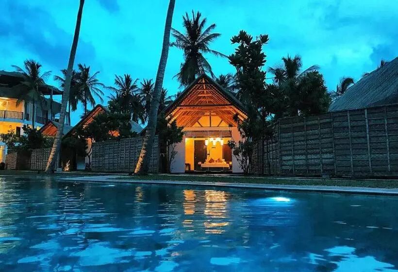 Blue Whale Resort & Kite Surfing