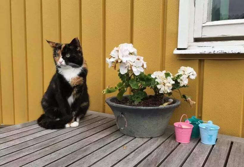 Hagaborg Bed & Breakfast