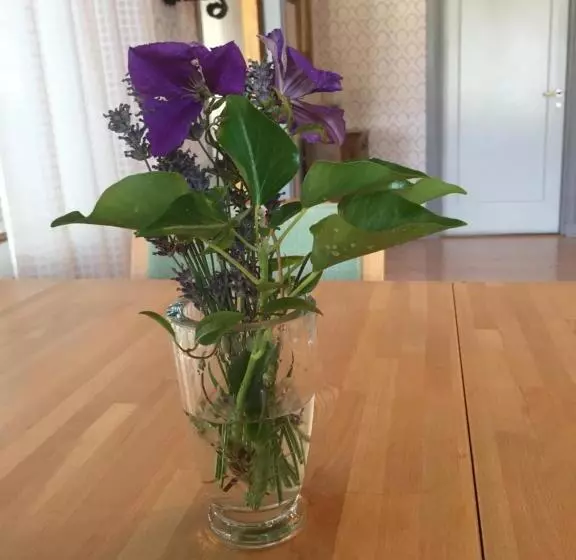 Hagaborg Bed & Breakfast