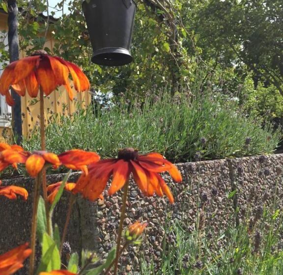 Hagaborg Bed & Breakfast