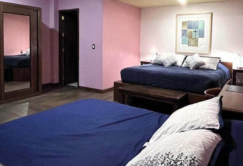 Отель Siglo Xvii Art Gallery