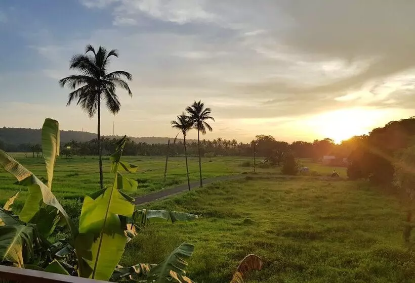 Moustache Goa Cowork Hostel
