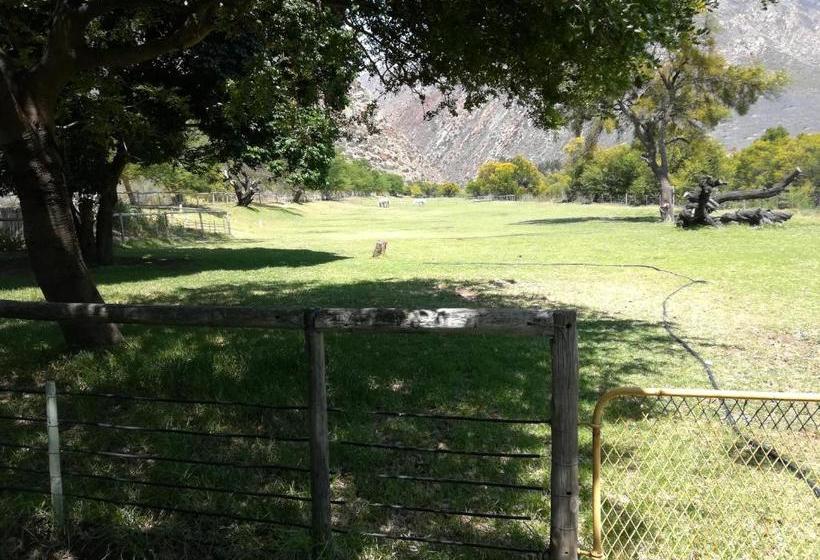 住宿加早餐  Aasvoelkrans Guest Farm