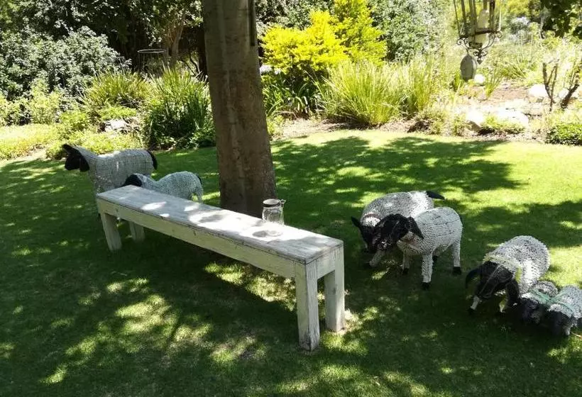 ベッドアンドブレックファースト Aasvoelkrans Guest Farm