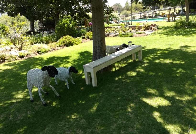 住宿加早餐  Aasvoelkrans Guest Farm