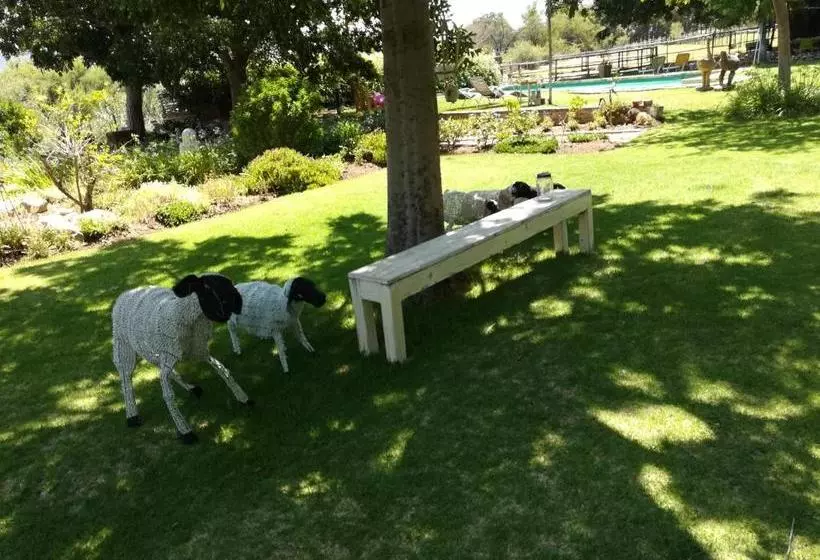 ベッドアンドブレックファースト Aasvoelkrans Guest Farm