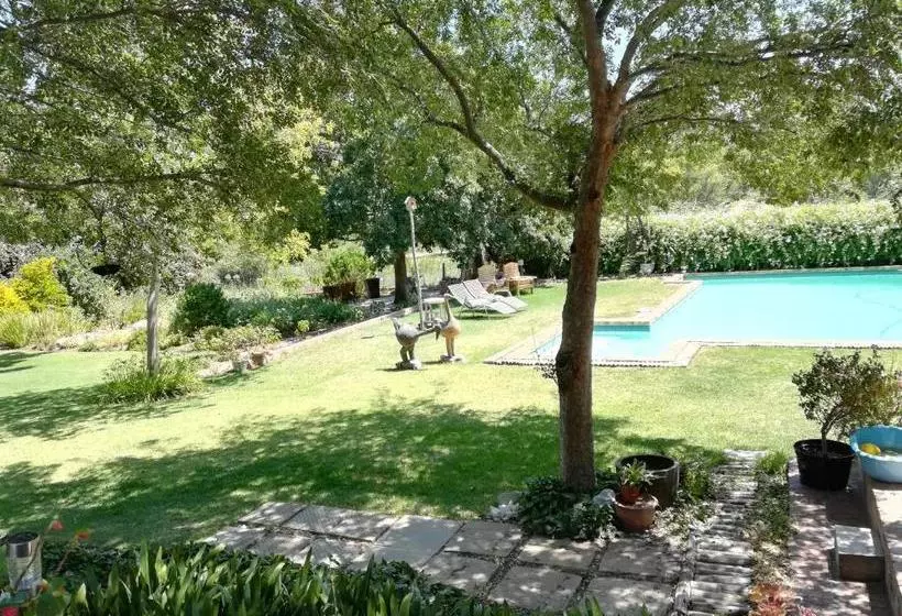 ベッドアンドブレックファースト Aasvoelkrans Guest Farm