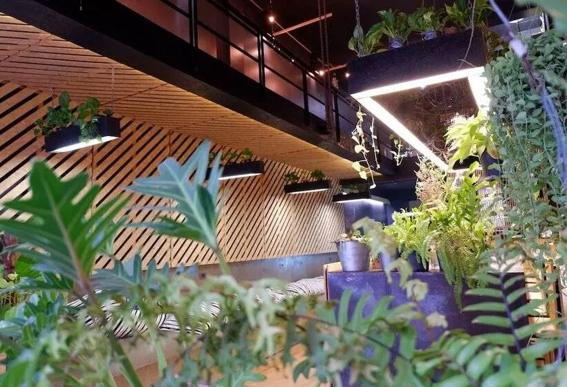 Hugger Hostel
