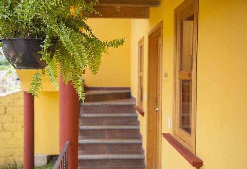 فندق Adobe & Teja