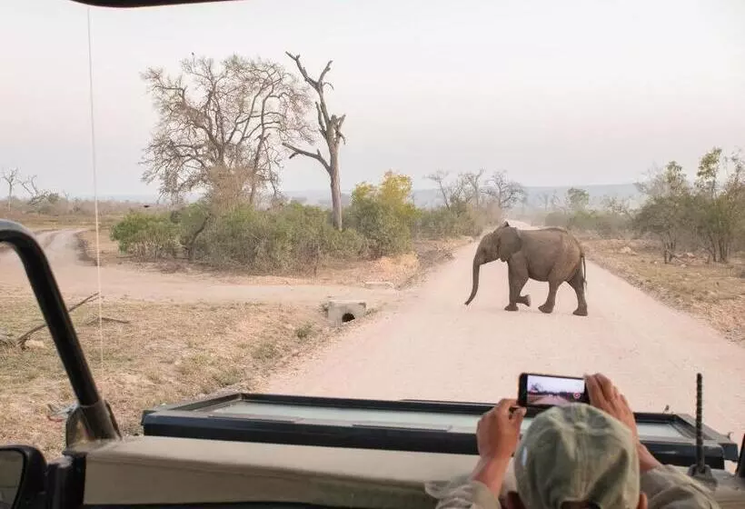 Mjejane Bush Camp By Dream Resorts