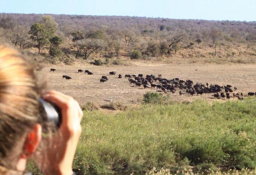 Mjejane Bush Camp By Dream Resorts