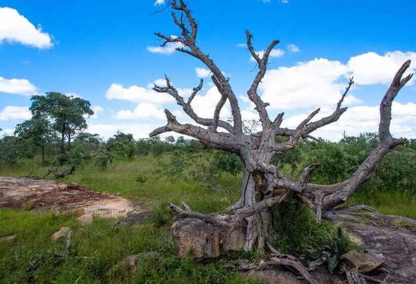 Mjejane Bush Camp By Dream Resorts