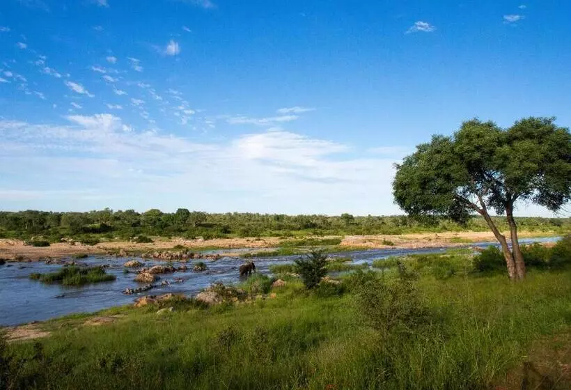 Mjejane Bush Camp By Dream Resorts