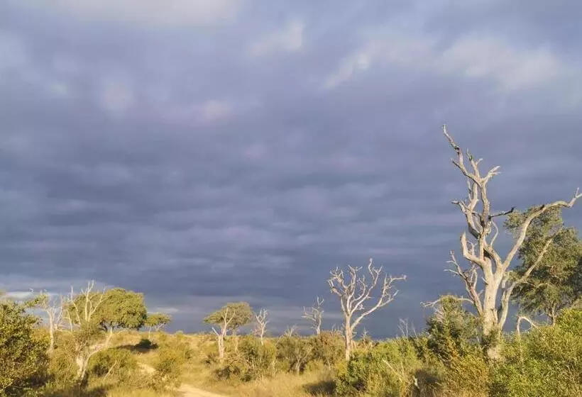 Mjejane Bush Camp By Dream Resorts