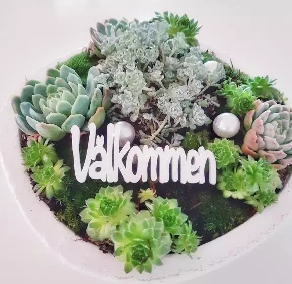 ユースホステル Spirans Rum Och Logi