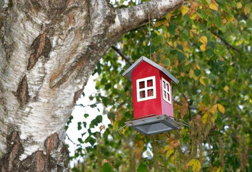 ユースホステル Spirans Rum Och Logi