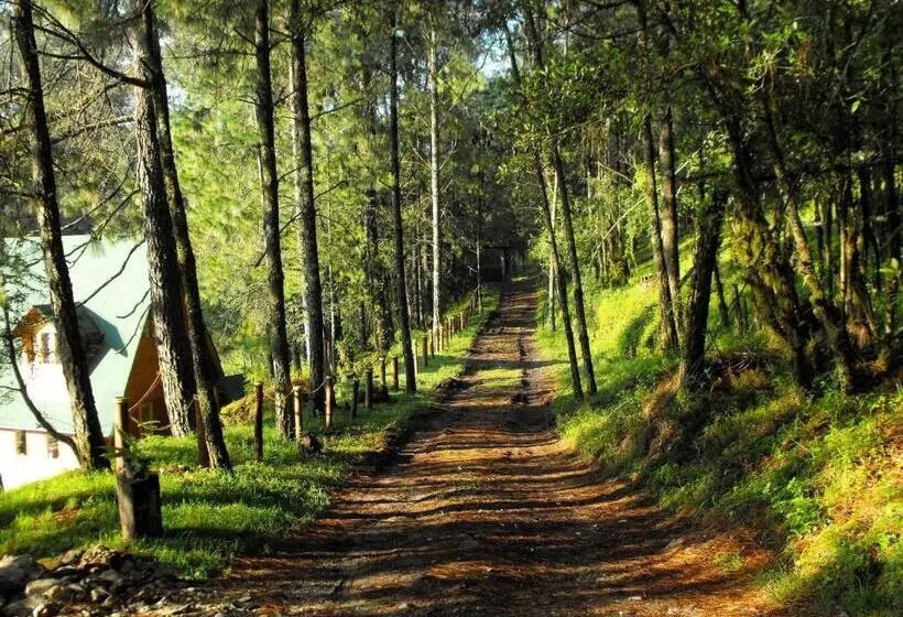 Hotelli Cabañas Alpinas López Fontes