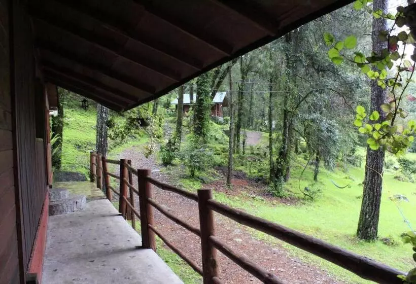 Hotelli Cabañas Alpinas López Fontes