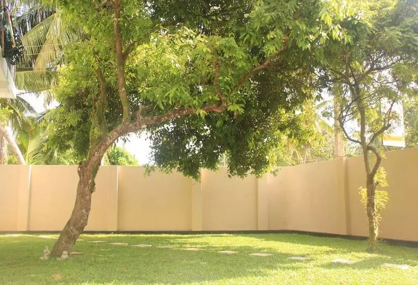 Bobo S Bed & Breakfast