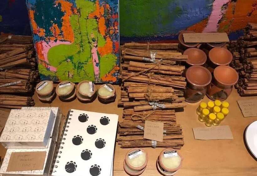 Bobo S Bed & Breakfast