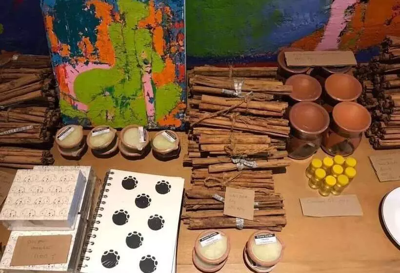 Bobo S Bed & Breakfast